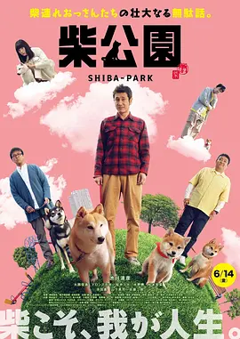 jy灌溉收集系统