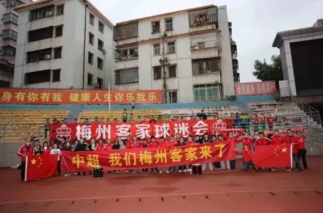 电视剧勇者无惧免费观看全集