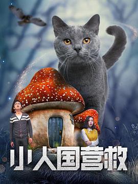 91在线视频网址
