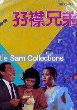 婚姻攻略 电视剧