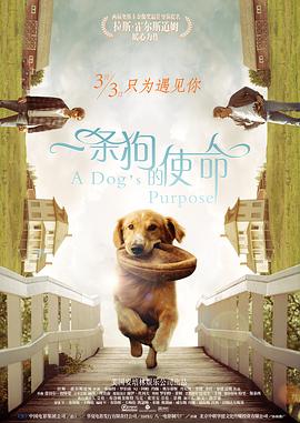 91精品全国免费观看老司机