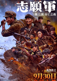 video是啥意思