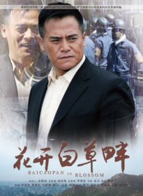驯服日本的妻子2020