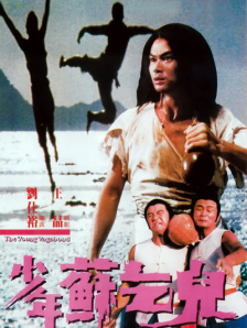 综合婷婷